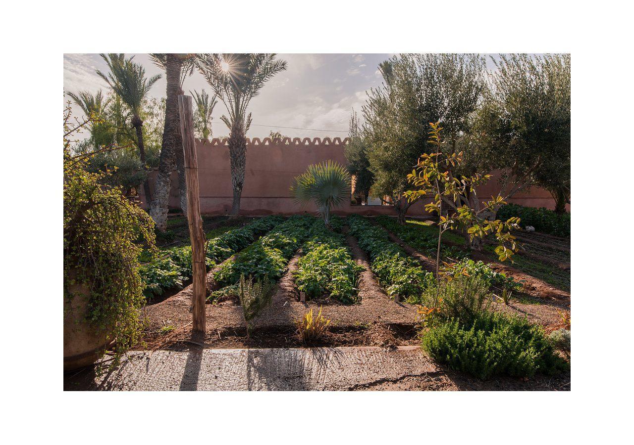 Villa 55 Marrakech Marraquexe Exterior foto